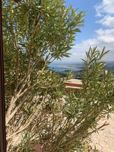 Basilum - Cozy House in Creta