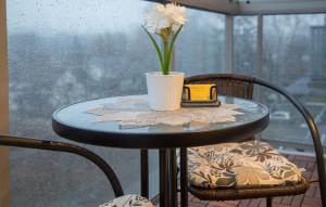 VIP apartaments Zalgirio 96
