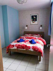 Renovated Apartment in Antwerp city center