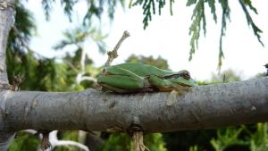 Hotels Longo Mai : photos des chambres