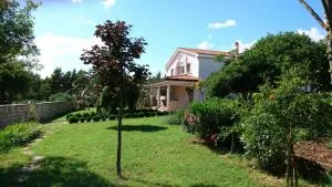 Apartments Villa Andreja - Marasovići