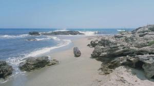 Appart'hotels Les jardins de la mer : photos des chambres