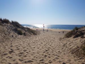 Campings Les Dunes de Contis *** : photos des chambres