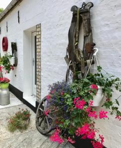 Sejours a la campagne La Ferme Wessiere : photos des chambres