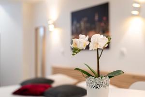 Appartements CityCosy Strasbourg - Studio Hirtz Orangerie : photos des chambres