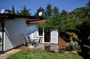 Palme Apartment - Karpinjan