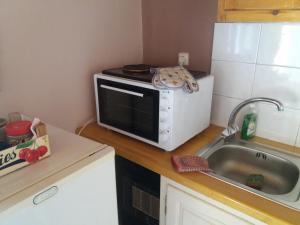 Elm Tree Dream Catcher