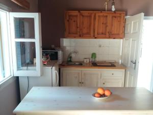 Elm Tree Dream Catcher