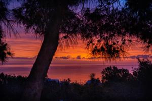 Vista Mare Rhodes Greece