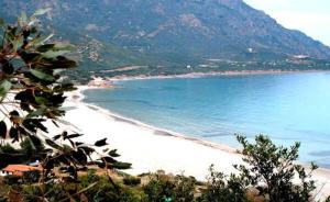 Appartamento Orrosica img11