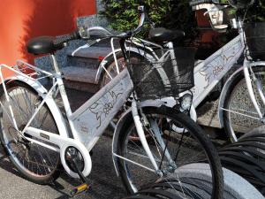 Stella Alpina Hotel e Ristorante