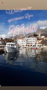 Center town apartment Lipa Mala