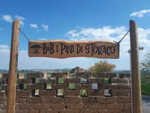 B&B I Pini Di Storaco - Rustico