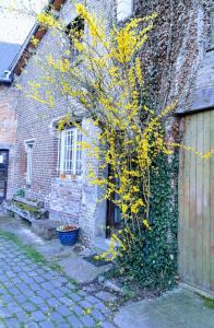 B&B / Chambres d'hotes Au Moulin de l'Andelle : photos des chambres