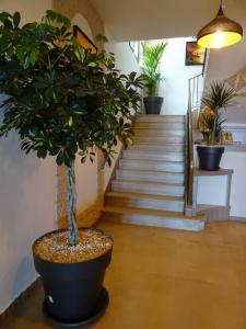Hotels Le Mazagan : photos des chambres