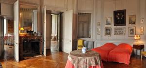 Château de Saint-Fargeau photo 21