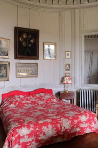 Château de Saint-Fargeau photo 15
