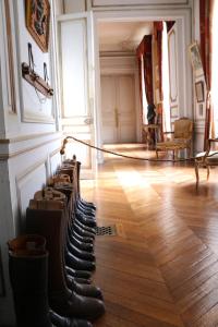 Château de Saint-Fargeau photo 6