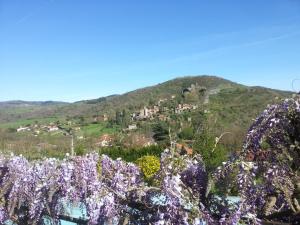 B&B / Chambres d'hotes Clair Matin : Chambre Double - Vue sur Piscine