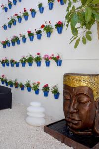 Apartamentos Casa-Patio Las Palmeras