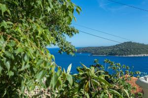 The Lionheart Close to Old Town