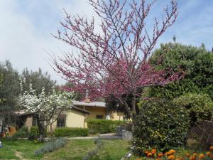 Locazione Turistica Casa in Campagna