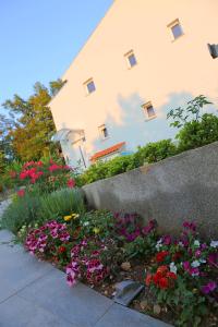 Apartments - Villa Sidro