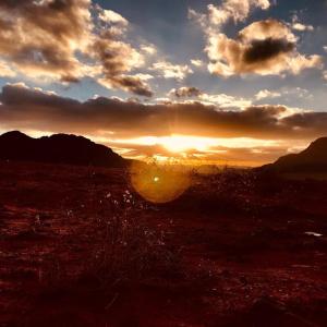 Wadi Rum Excursions