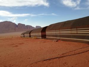 Wadi Rum Excursions