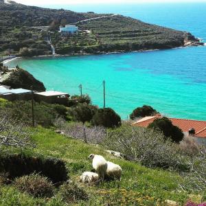 Villa Natasa Andros Greece