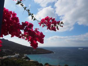 Villa Natasa Andros Greece