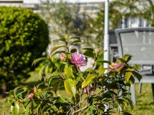 Maisons de vacances Atmospheric holiday home in Erquy with views : Maison de Vacances 4 Chambres