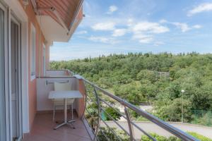 Studio with Balcony room in Apartment Dubravko 110