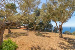 Valldemossa - 2813-88 Mallorca