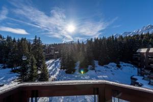 Les Appartements du Domaine du Jardin Alpin