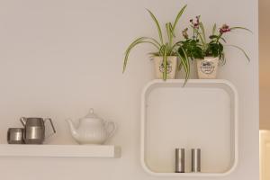 Garden Studio Apartment St Andrews - Free Parking