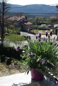 moonflower - Dutovlje