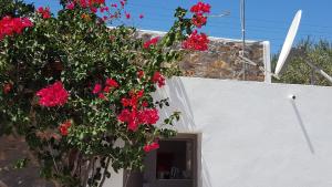 Flora's house Syros Greece