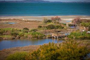 Koronisia Apartments