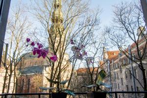 City Inn Riga Apartment, Town Towers with parking