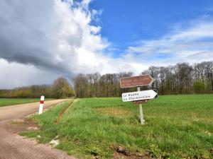 Maisons de vacances Tasteful Holiday Home in Sormery with Swimming Pool : photos des chambres