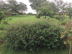 Cabinas Lindo Horizonte