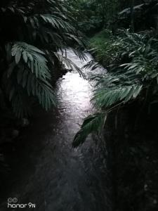 Alencherry plantation homestay