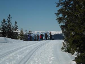 Appartement Pürstinger