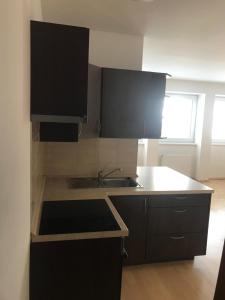 Celý byt plně vybavený , příroda