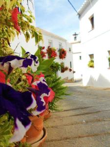 Valleverde Apartment