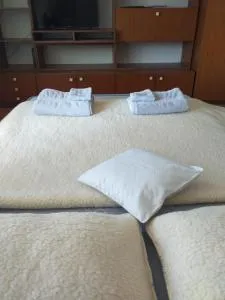 APARTMENT PRIMČEVA - Kamnica