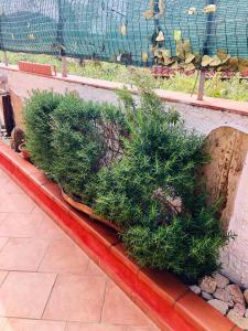 L'Oasi di Chia img68