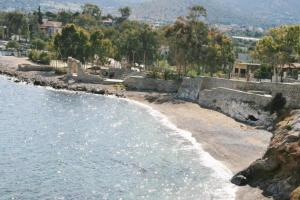 Mousonette Salamina Greece
