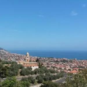 Casa Flora - Serreta